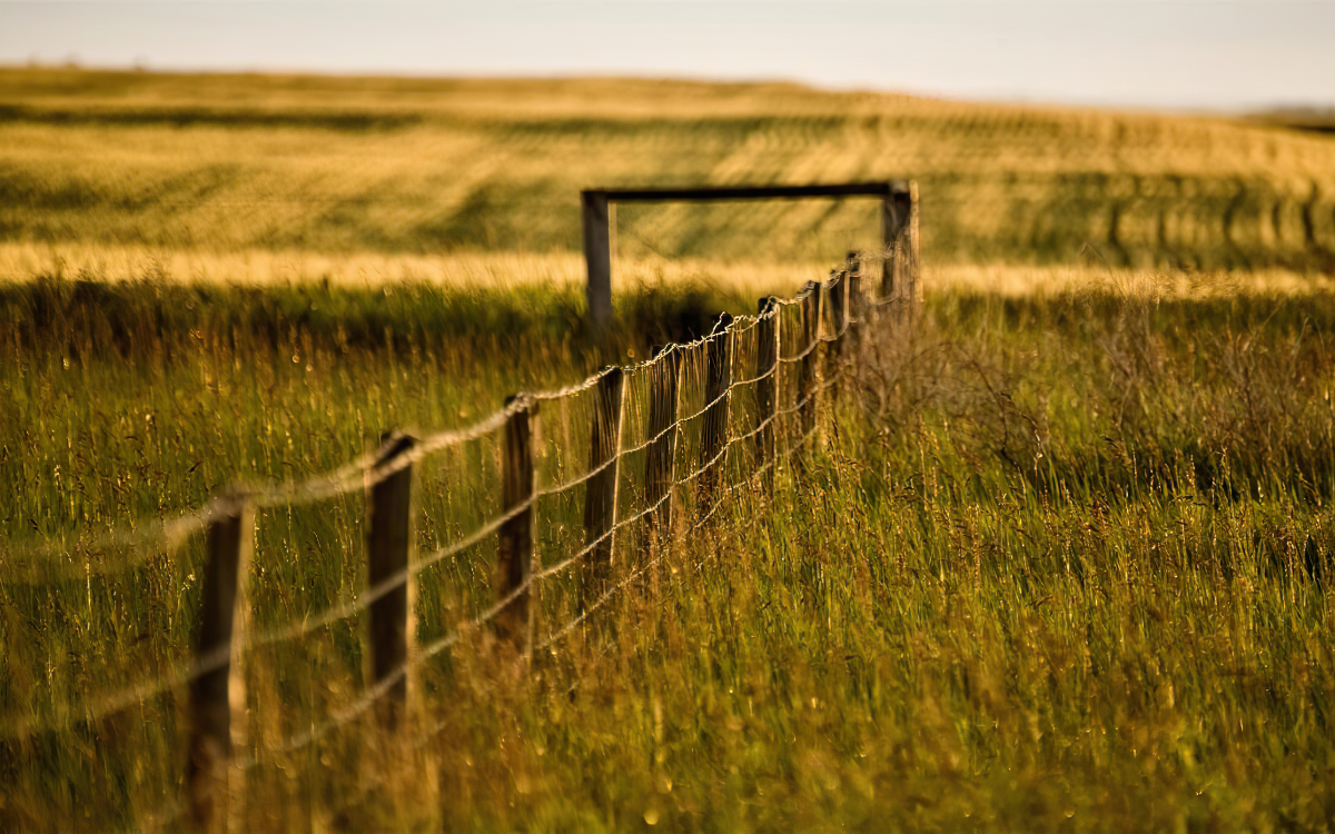 What a Virtual Tour Can (and Can't) Tell You About Rural Property in Salida, Colorado